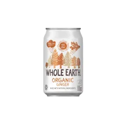 Αναψυκτικό τζίντζερ 