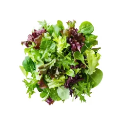 Σαλάτα ανάμεικτη τρυφερών φύλλων συσκευασμένη