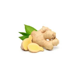 Τζίντζερ Εισαγωγής Bio