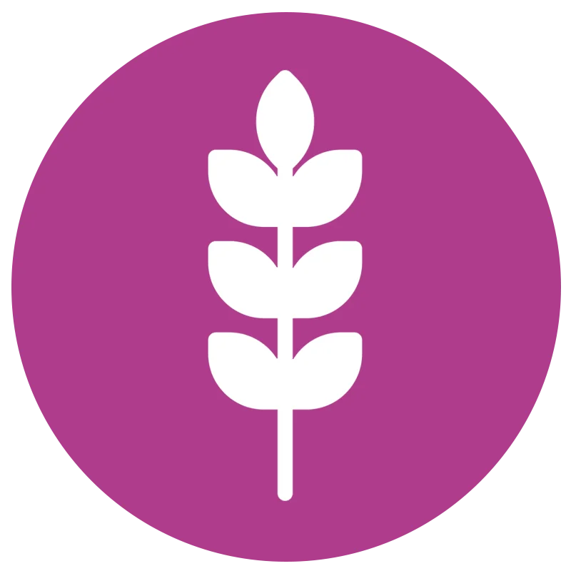 Υψηλό σε φυτικές ίνες